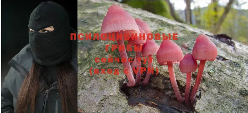 где купить наркотик  Казань  МЕГА ONION  Псилоцибиновые грибы Psilocybe 